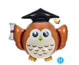 New Graduation Dr.Owl